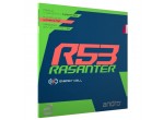 Vaata Table Tennis Rubbers Andro Rasanter R53