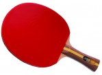 Vaata Table Tennis bat DHS Racket 2002 FL