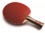 Vaata Table Tennis bat DHS Racket 3002 FL