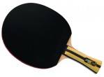 Vaata Table Tennis bat DHS Racket 4002 FL
