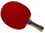 Vaata Table Tennis bat DHS Racket 5002 FL
