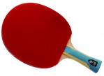Vaata Table Tennis bat DHS Racket 6002 FL