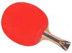 Vaata Table Tennis bat DHS Racket 7002 FL