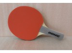 Vaata Table Tennis Accessories Donic Midi Racket