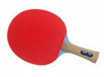 Vaata Table Tennis bat Neottec 4000C