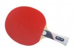 Vaata Table Tennis bat Neottec 5000