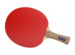 Vaata Table Tennis bat Neottec 5000C