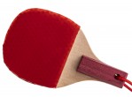 Vaata Table Tennis Accessories Nittaku Mascot Racket Pen