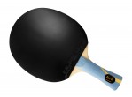 Vaata Table Tennis Bats Pro Racket DHS Long 5 Hurricane National