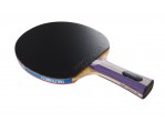 Vaata Table Tennis Bats Pro Racket Magic Hinomi (FL)